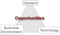Evaluating Opportunities from Three Perspectives