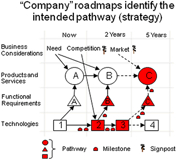 'Company' Roadmaps Identify the Intended Pathway (Strategy)